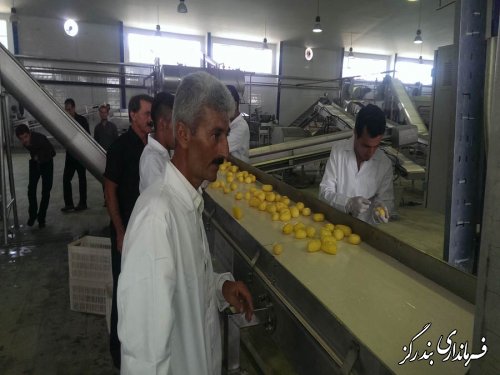 کارخانه بسته بندی میوه در بندرگز افتتاح شد