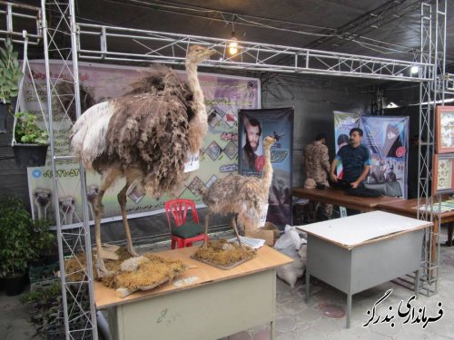 گشایش نمایشگاه صنایع دستی و تبدیلی در بندرگز 