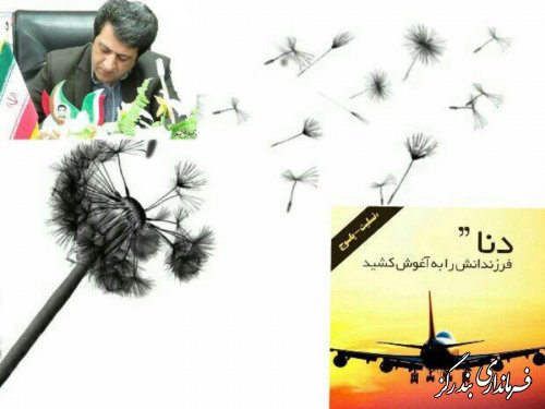 پیام تسلیت فرماندار بندرگز در پی سانحه سقوط هواپیمای مسافربری تهران - یاسوج