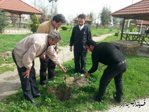 فرماندار بندرگز بر ترویج فرهنگ درختکاری و حفظ منابع طبیعی در جامعه تاکید کرد