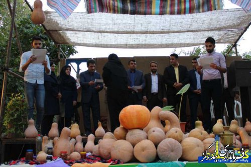برگزاری نخستین جشنواره بومی و محلی "کدو" در غرب گلستان 