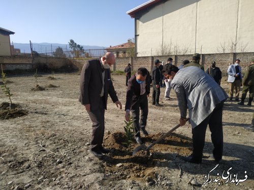 آیین درختکاری در شهرستان بندرگز برگزار شد