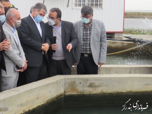 بازدید وزیر جهادکشاورزی از پروژه پرورش ماهیان خاویاری در شهرستان بندرگز
