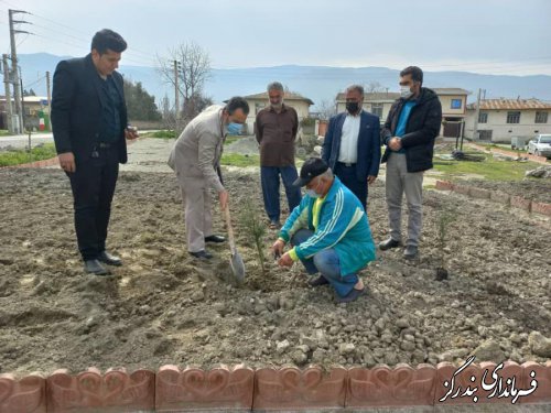 ۶۰ اصله نهال در پارک کودک روستای جفاکنده غرس شد