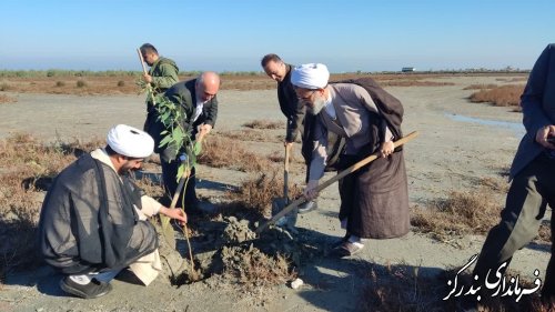 گزارش تصویری || آغاز رسمی طرح مردمی کاشت یک میلیارد درخت در شهرستان بندرگز